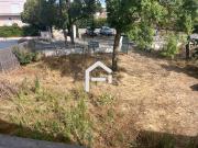 Maison 5 pièces 150 m²