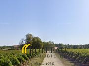 Maison 5 pièces 199 m²