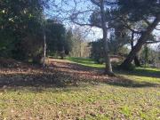 Maison 5 pièces 241 m²