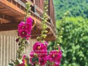 Maison 5 pièces 286 m²