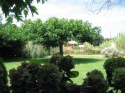 Maison 5 pièces 390 m²