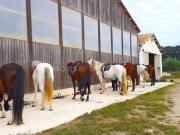 Maison 5 pièces 87 m²