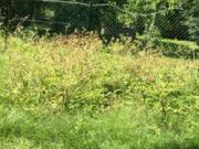 Maison 5 pièces 89 m²