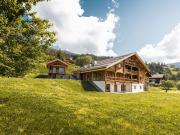 Maison 666 m2 Manigod