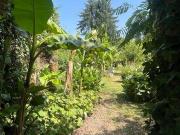 Maison 6 chambres, PLAISANCE Midi Pyrénées 32160 DLS91818213 Maison 6 chambres, PLAISANCE Midi Pyrénées 32160 DLS91818213