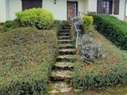 Maison 6 pièces, 127 m² à louer à Saint Martin en Bresse...