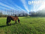 Maison 6 pièces 134 m²