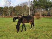 Maison 6 pièces 150 m²