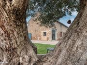 Maison 6 pièces 165 m²