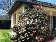 Maison 6 pièces 188 m²