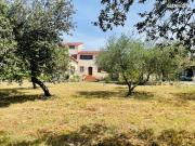 Maison 6 pièces 225 m²