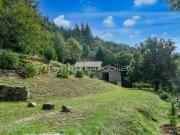 Maison 6 pièces 270 m²