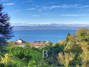 Maison 6 pièces 278 m²