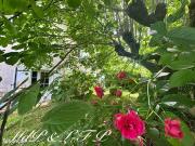 Maison 6 pièces 294 m²