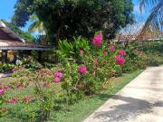 Maison 6 pièces 350 m²