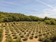 Maison 700 m2 Aix en Provence