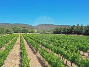 Maison 7 chambre s à vendre