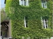 Maison 7 pièces 148 m²