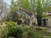 Maison 7 pièces 165 m²