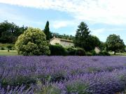 Maison 7 pièces 167 m²