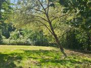 Maison 7 pièces 172 m²