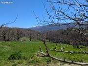 Maison 7 pièces 183 m² Maison 7 pièces 183 m²