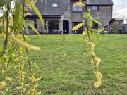 Maison 7 pièces 186 m²