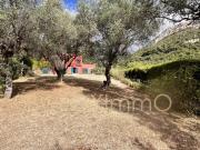 Maison 7 pièces 230 m²