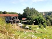 Maison 7 pièces 260 m²