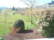 Maison 7 pièces 264 m²