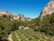 Maison 80 m2 Saint Remy de Provence