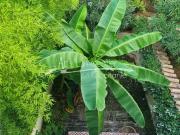 Maison 8 pièces 136 m²