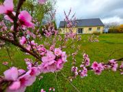 Maison 8 pièces 140 m²