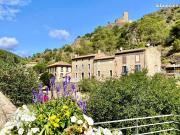 Maison 8 pièces 244 m²