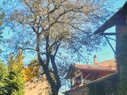 Maison 8 pièces 290 m²