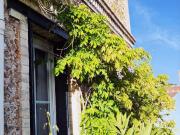 Maison 8 pièces 294 m²