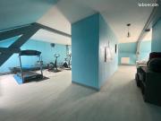 Maison 8 pièces 295 m²