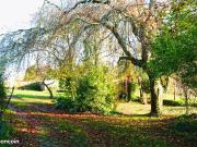 Maison 8 pièces 360 m²