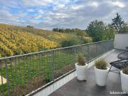 Maison 8 pièces 548 m²