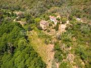 Maison 900 m2 Cannes