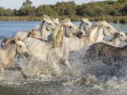 Maison 9 pièces 192 m²