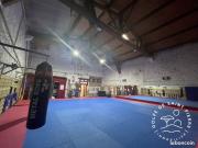 Maison 9 pièces 307 m²