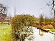 Maison 9 pièces 386 m²