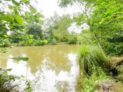 Maison à rénover de plain pied 116m2 Grand terrain avec ét