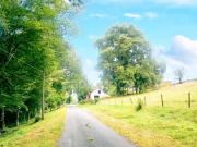 Maison à vendre 6 pièces avec 1.5 hectare de terrain