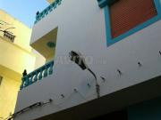 MAISON à vendre 95 m² Branas 2 L3zib Dkador