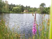 Maison à vendre à Rougeou 41230