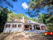 Maison avec grand terrain