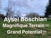 MAISON AVEC GRANGE ET IMMENSE TERRAIN