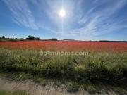 Maison avec jardin et terrasse